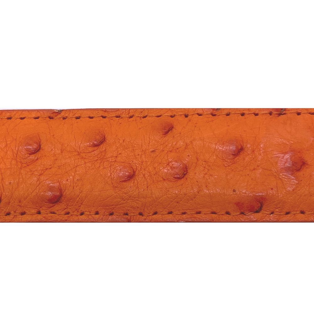 Orange Ostrich Belt Strap