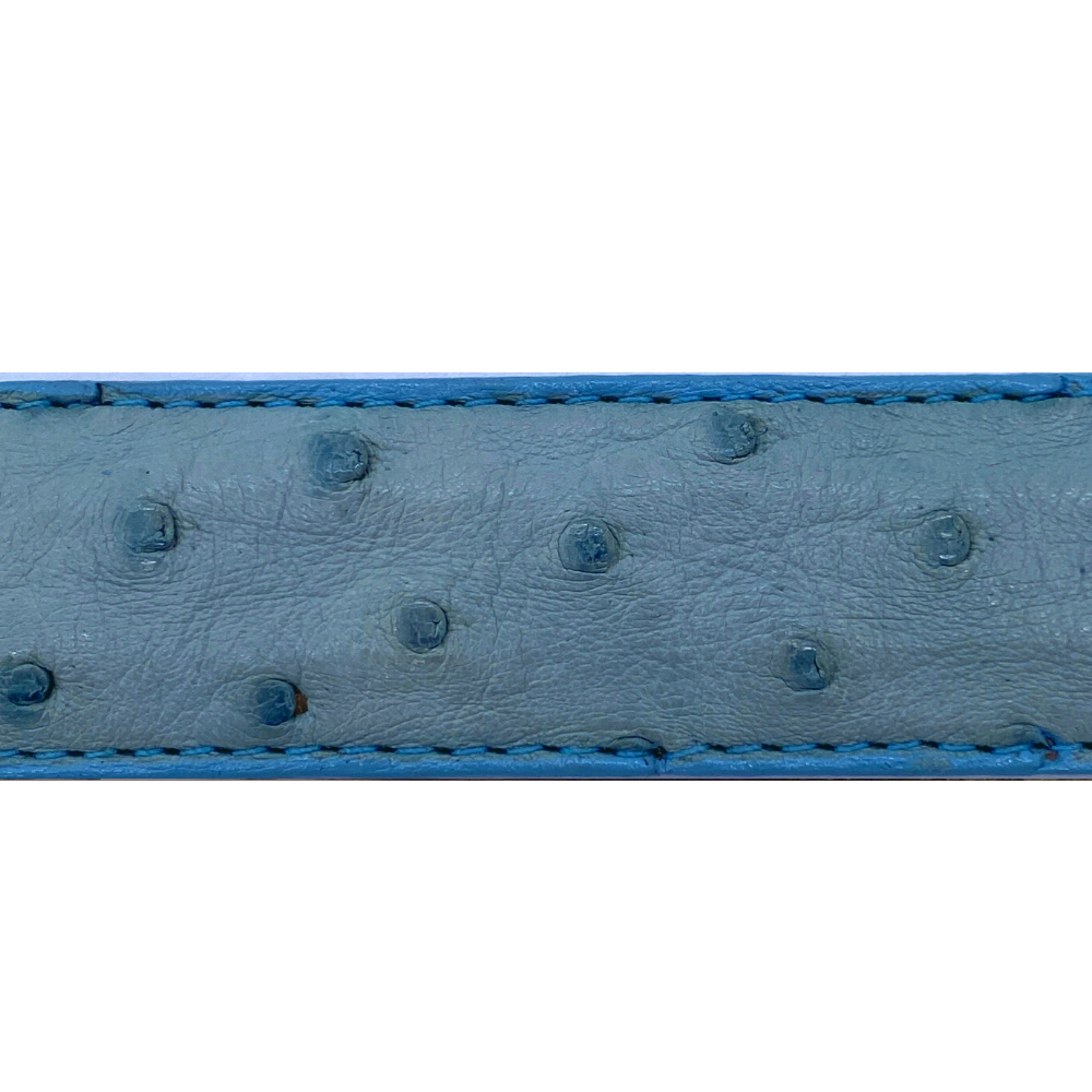 Turquoise Ostrich Belt Strap