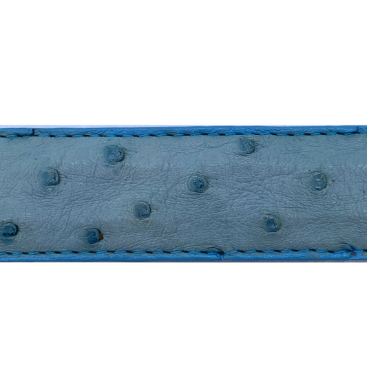 Turquoise Ostrich Belt Strap